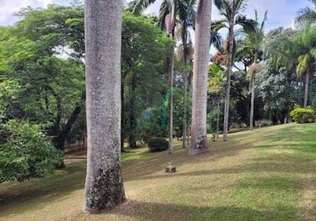 Casa, 5 quartos, 783 m² - Foto 7