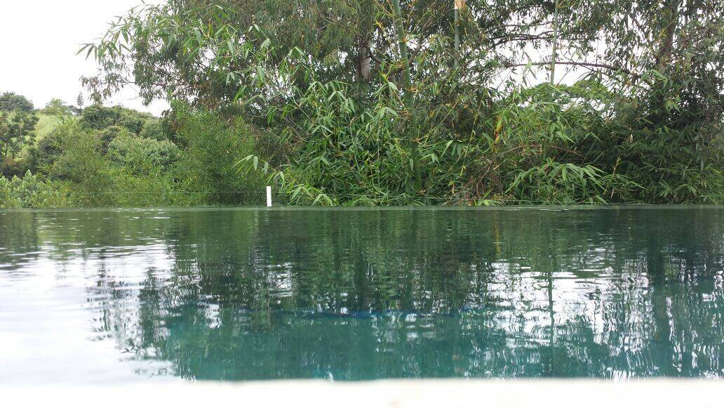 Casa, 5 quartos, 505 m² - Foto 80