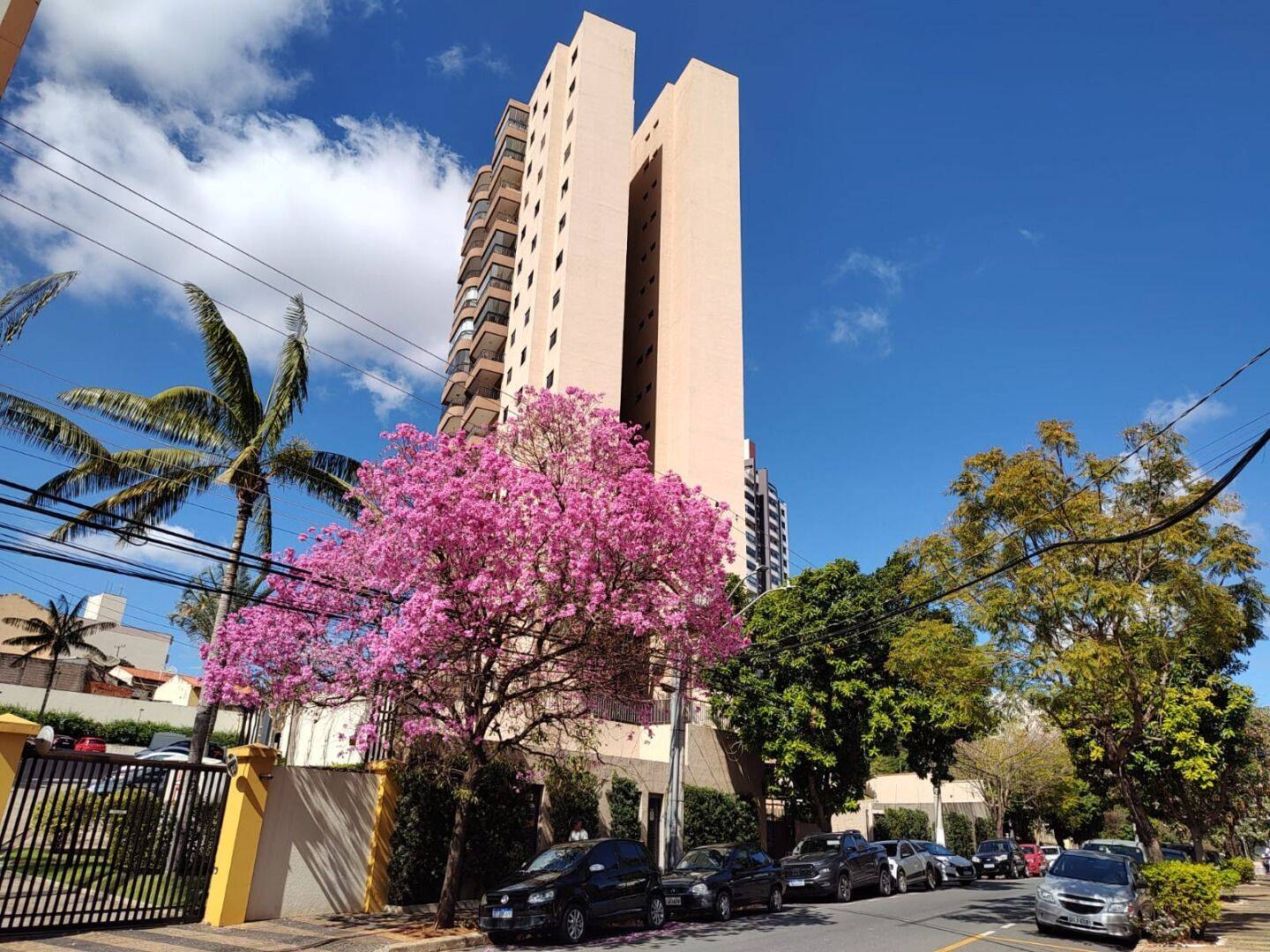 Apartamento, 2 quartos, 73 m² - Foto 2