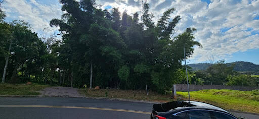 Terreno, 500 m² - Foto 3