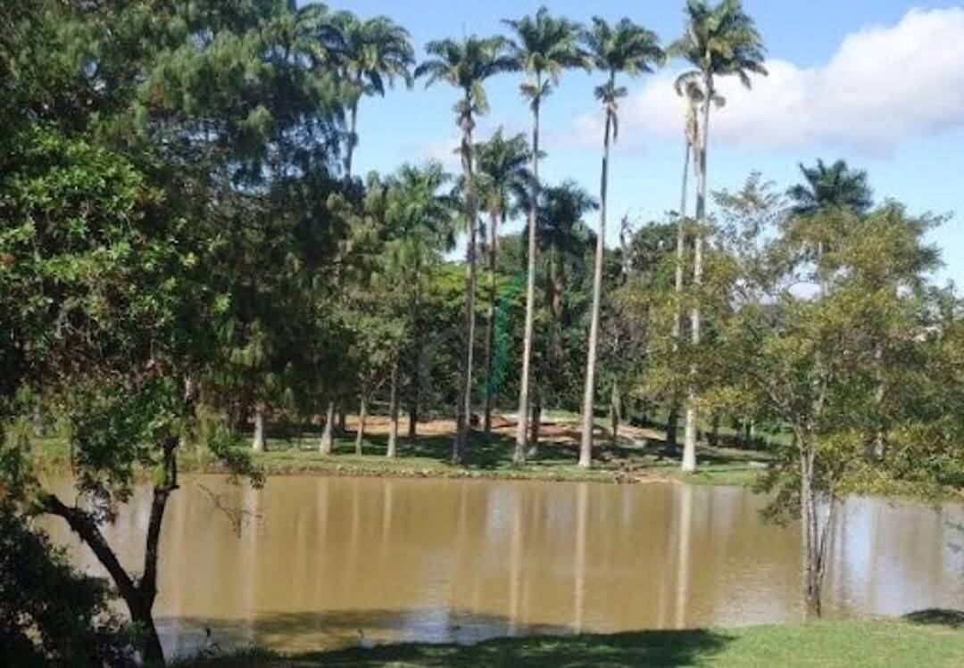 Casa, 4 quartos, 750 m² - Foto 20