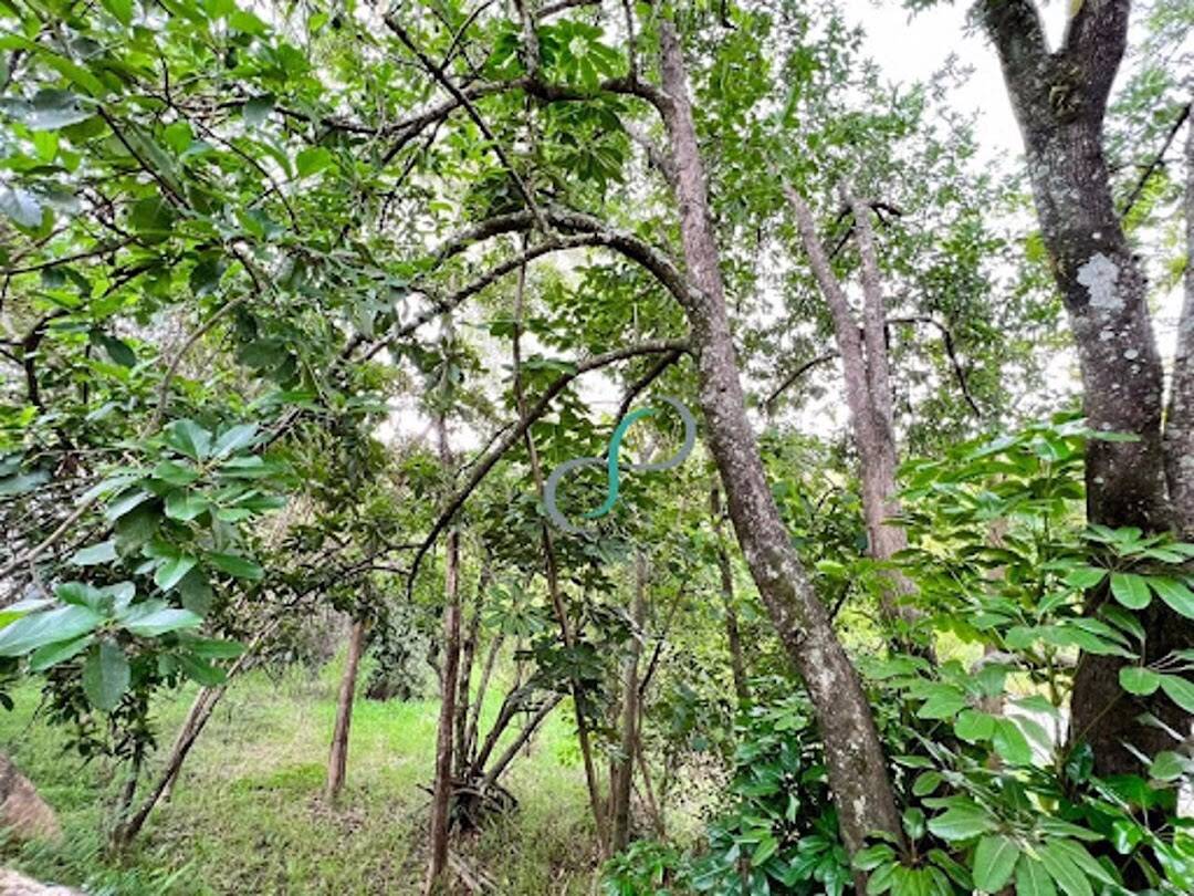 Terreno, 2008 m² - Foto 5