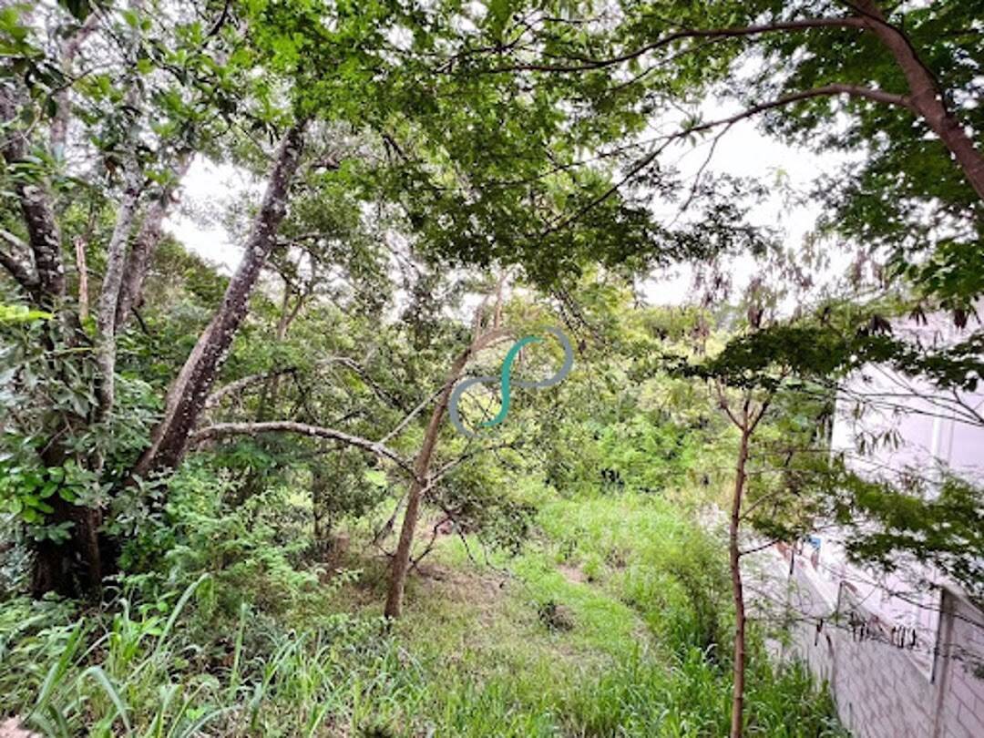 Terreno, 2008 m² - Foto 7