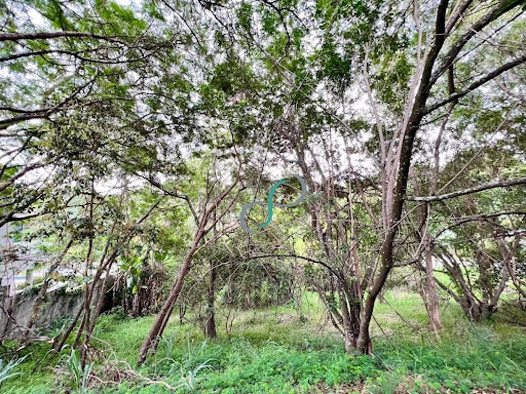 Terreno, 2008 m² - Foto 2