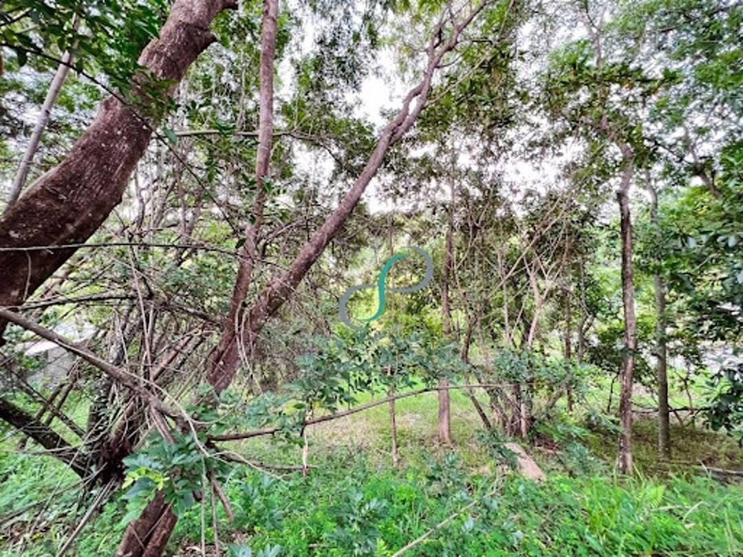 Terreno, 2008 m² - Foto 4