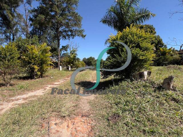 Área para Venda em Valinhos - 5