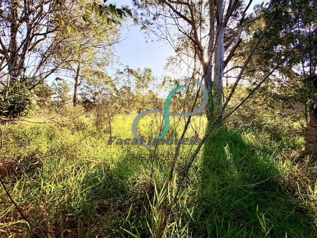 Área para Venda em Valinhos - 3