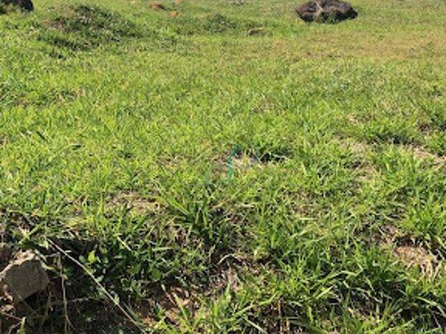 Terreno para Venda em Valinhos - 5