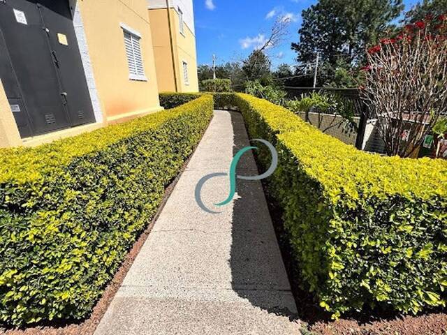 Apartamento para Venda em Valinhos - 2