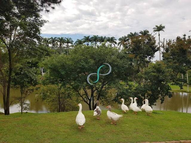 Terreno para Venda em Valinhos - 3