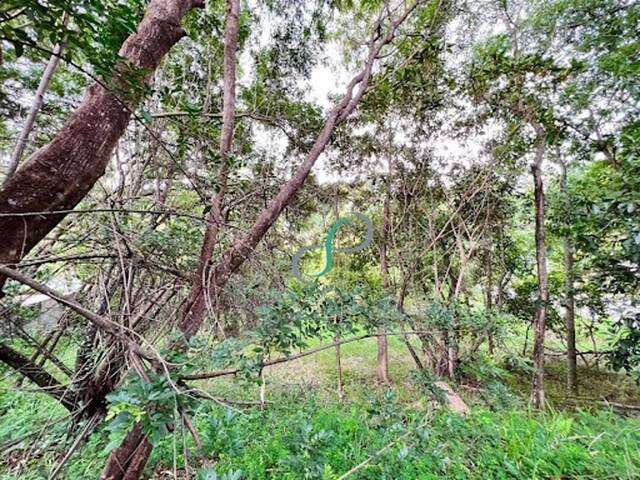 Terreno para Venda em Valinhos - 4