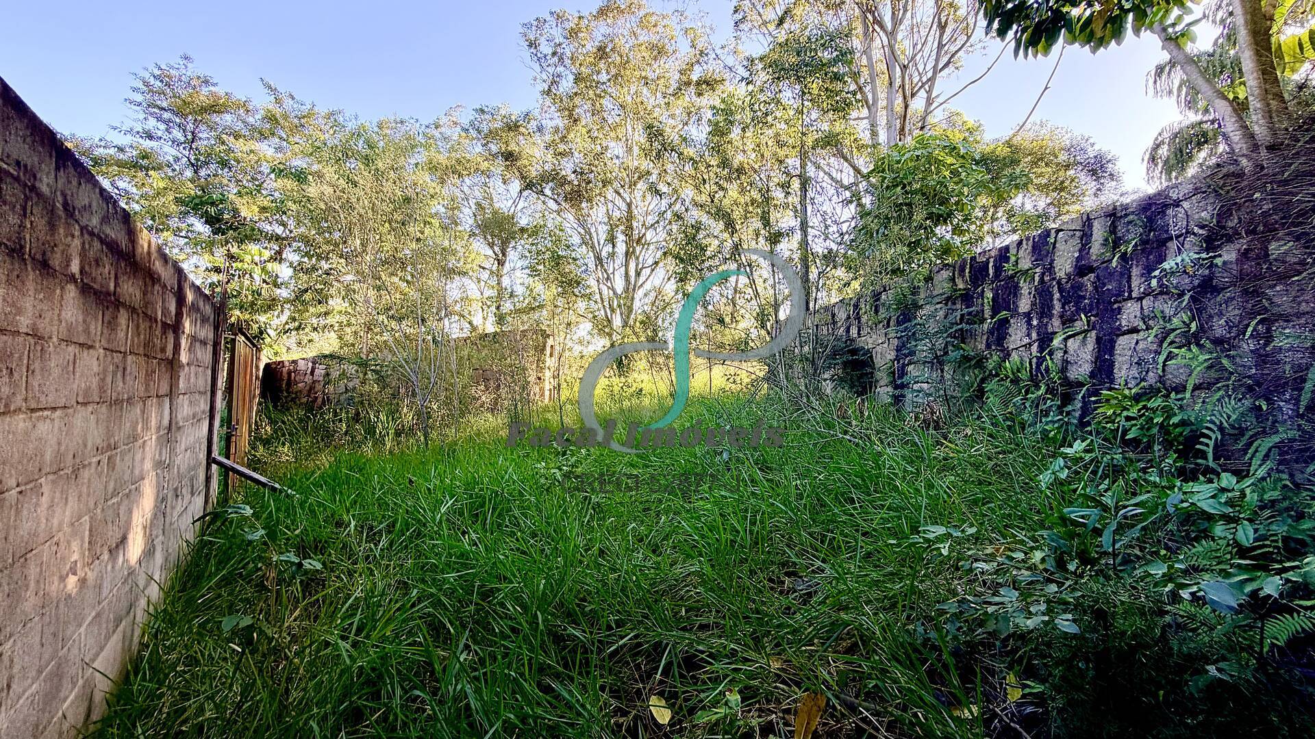 Terreno, 5006 m² - Foto 5