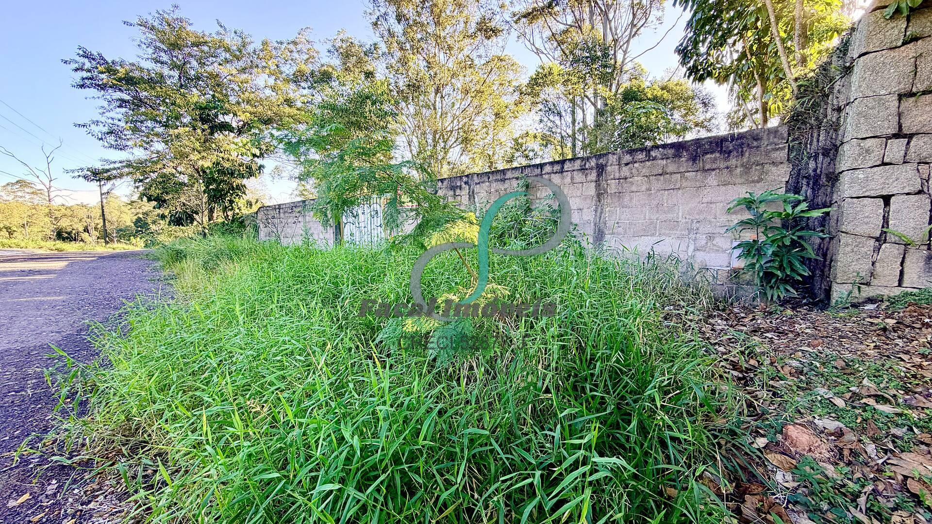 Terreno, 5006 m² - Foto 6